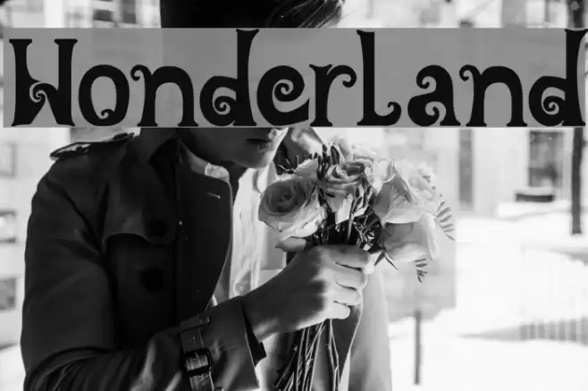 Wonderland Font examples