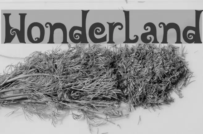 Wonderland Font examples
