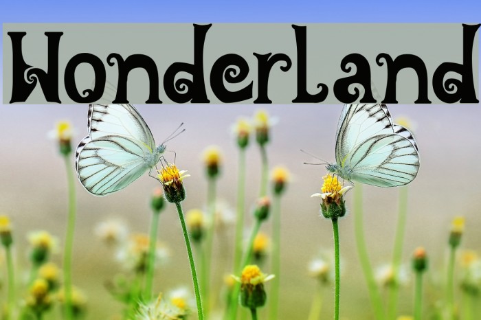 Wonderland Example 3