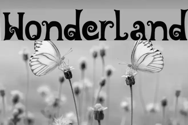 Wonderland Font examples