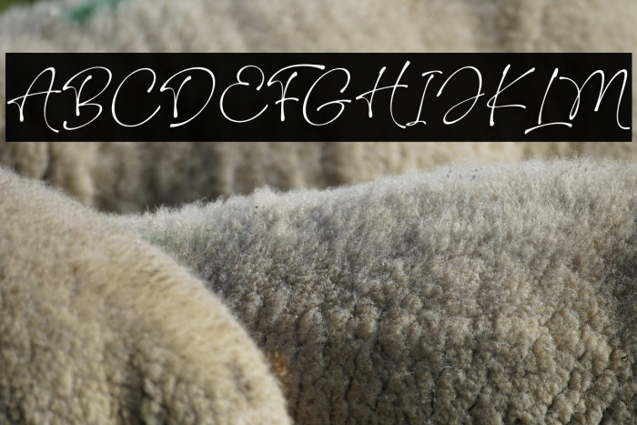 Wonderline Example 3