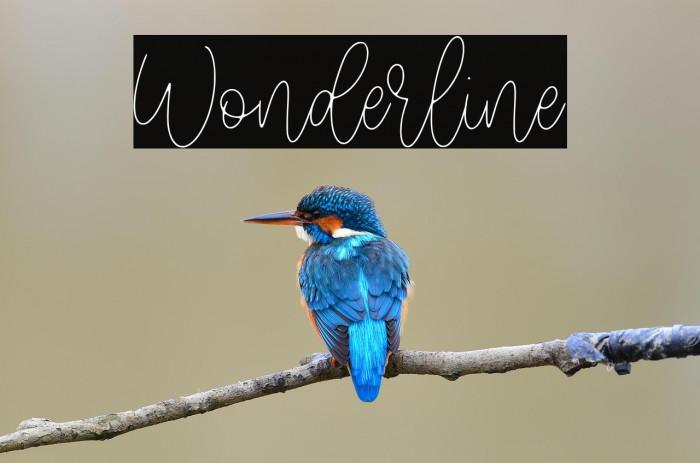 Wonderline Example 1