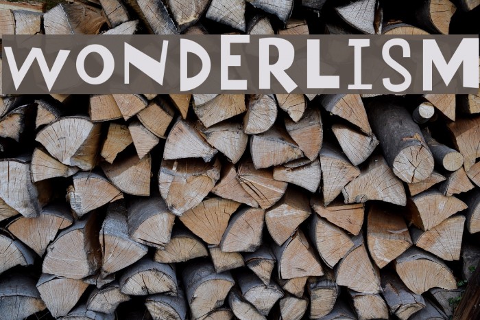 Wonderlism Шрифта examples