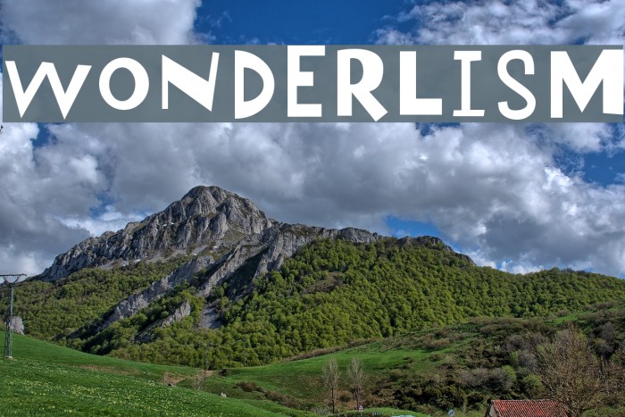 Wonderlism Шрифта examples