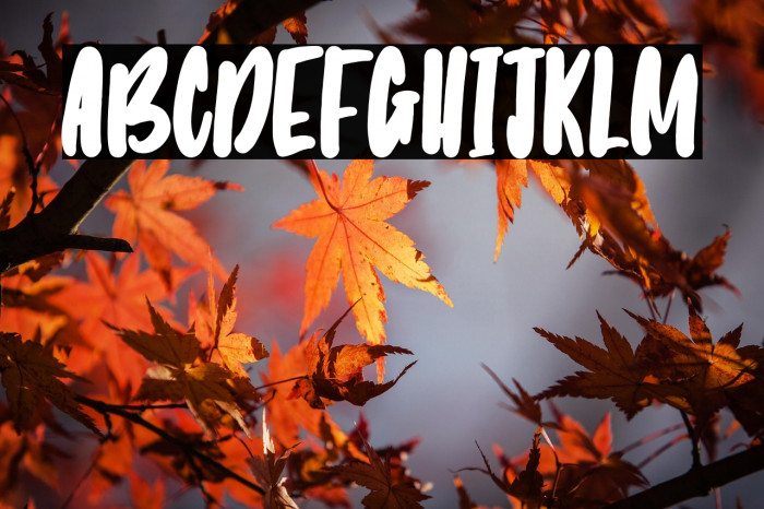 Wonderlover Example 2