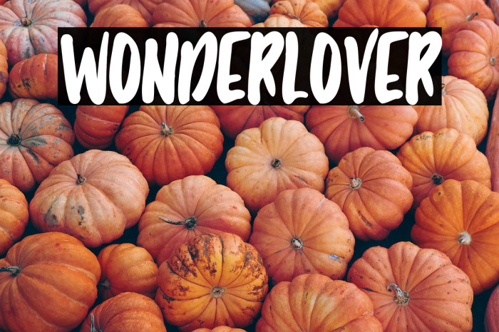 Wonderlover Example 1