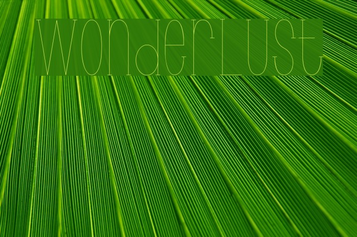 Wonderlust Font examples