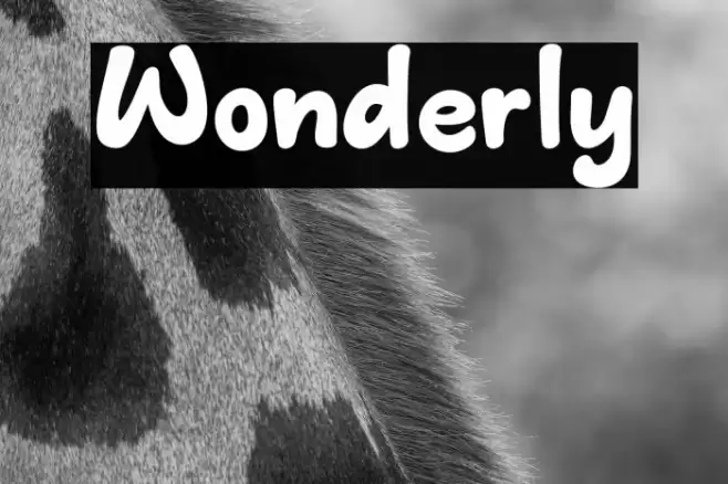Wonderly Font examples