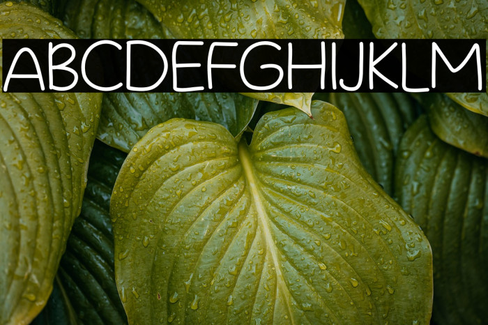 Wonderplay Example 1