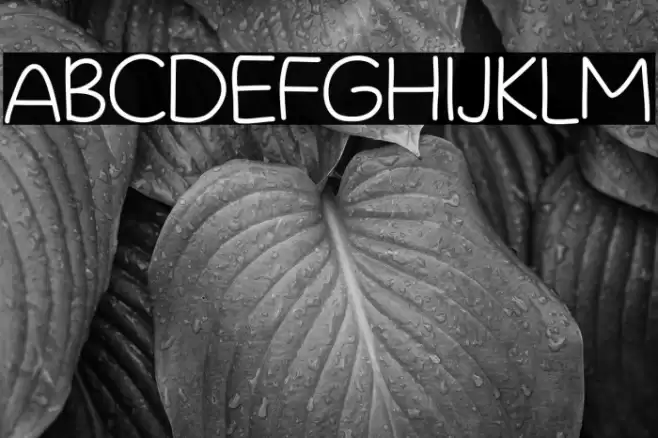 Wonderplay Font examples