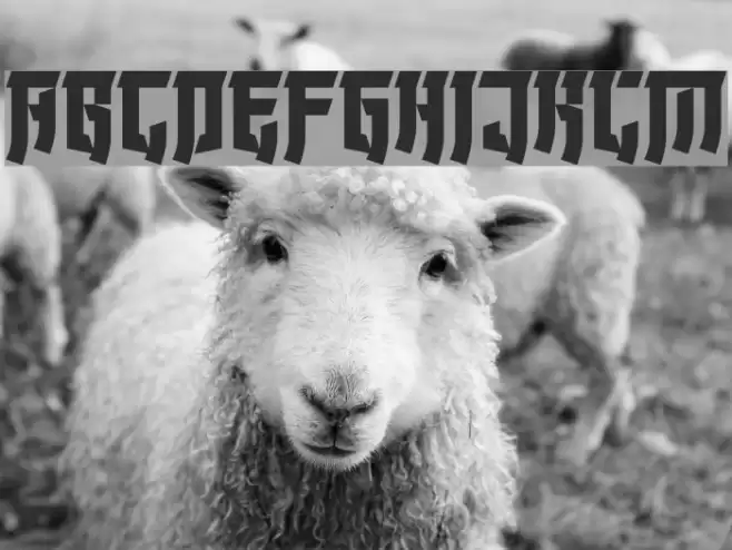 Wonders of the Orient Font examples