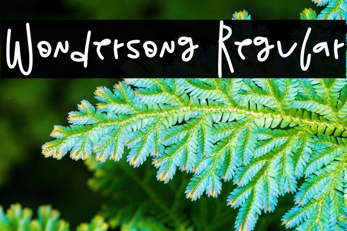 Wondersong Regular Fuentes examples