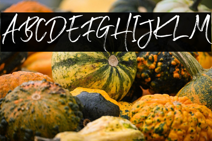 WonderstoryDEMO Example 1