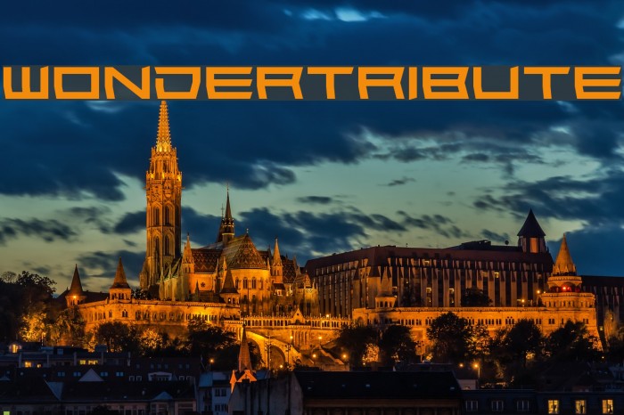 Wondertribute Example 1