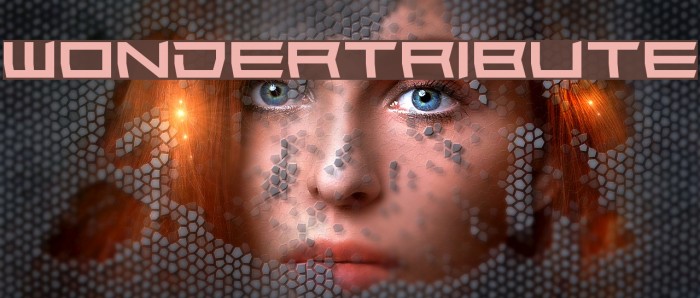Wondertribute Example 2