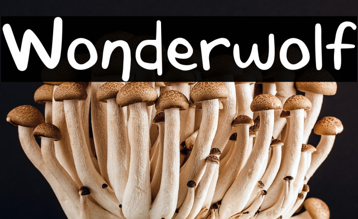 Wonderwolf Example 1