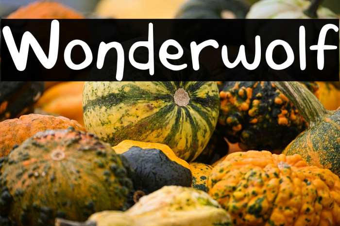 Wonderwolf Example 2