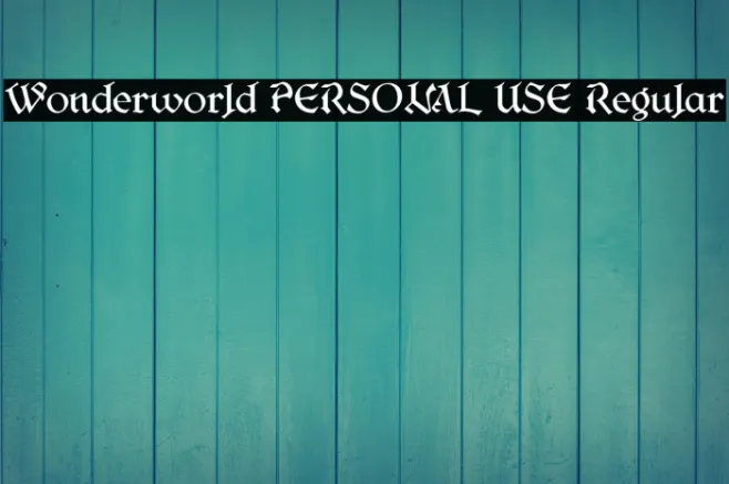 Wonderworld PERSONAL USE Regular Example 1