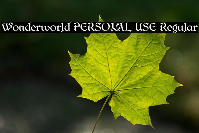 Wonderworld PERSONAL USE Regular Example 2