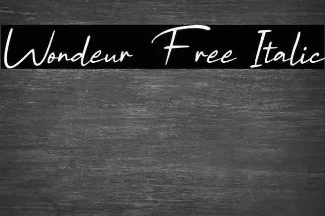 Wondeur Free Italic Font examples