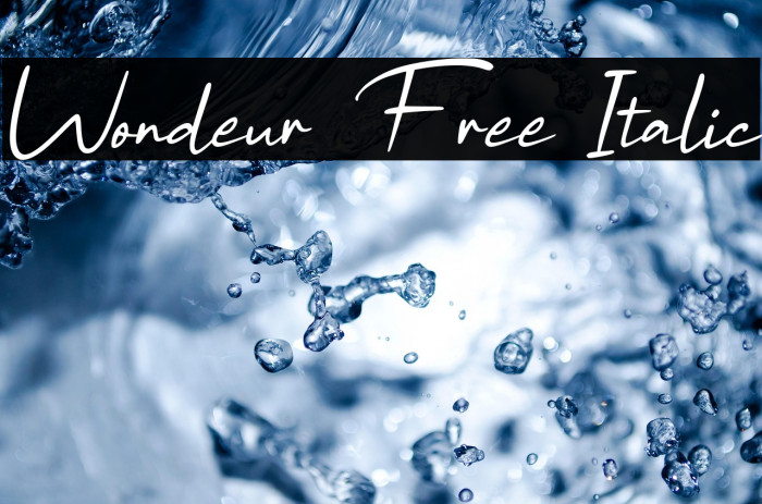 Wondeur Free Italic Example 2