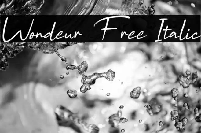 Wondeur Free Italic Font examples