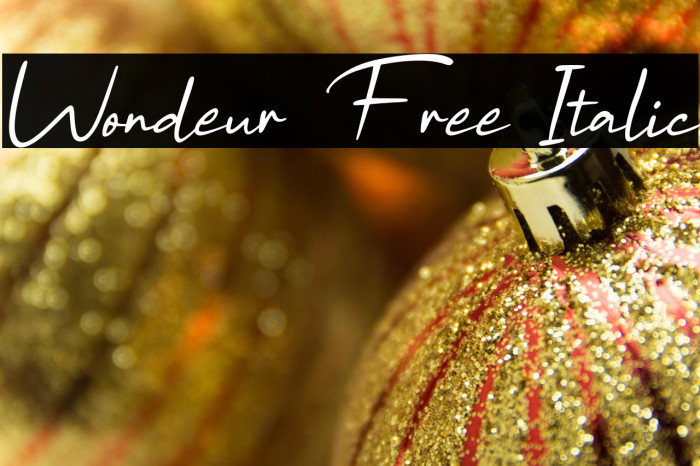 Wondeur Free Italic Example 3