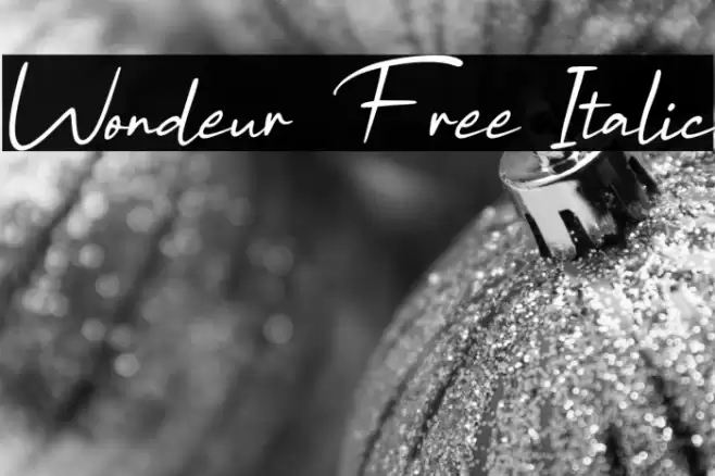 Wondeur Free Italic Font examples