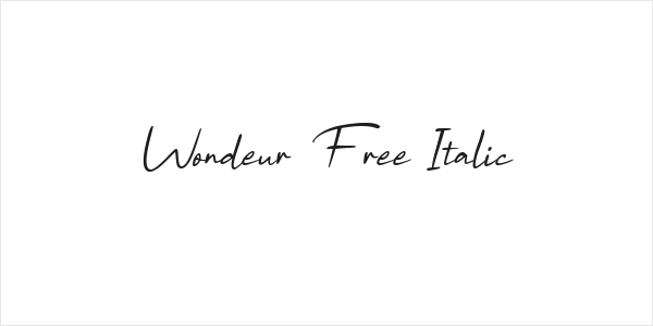 Wondeur Free Italic Logo