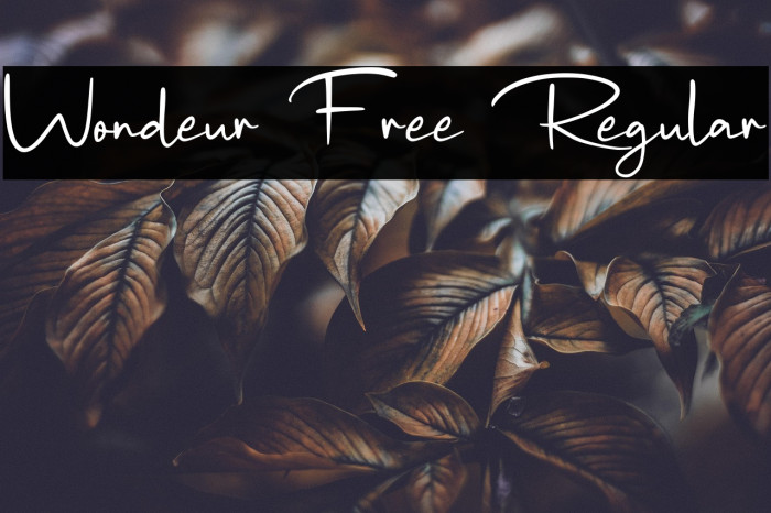 Wondeur Free Regular Example 1