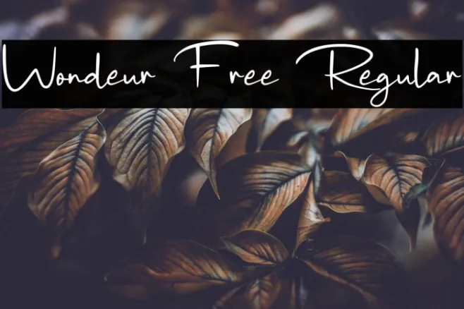 Wondeur Free Regular Example 1