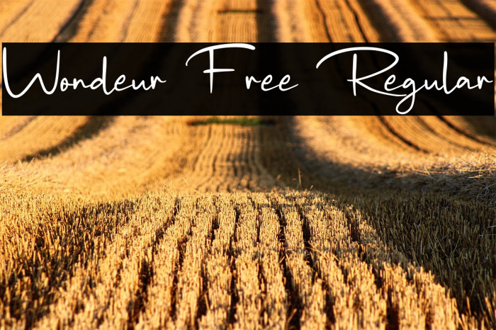 Wondeur Free Regular Example 2