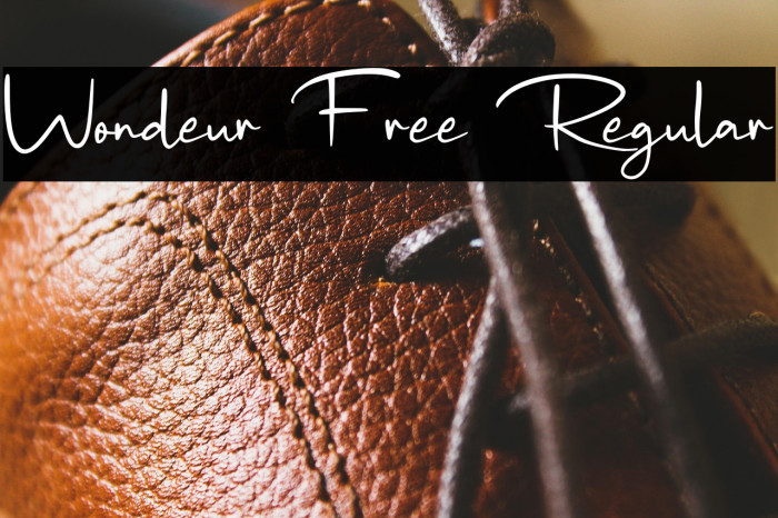 Wondeur Free Regular Example 3