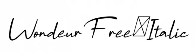 WondeurFree-Italic 