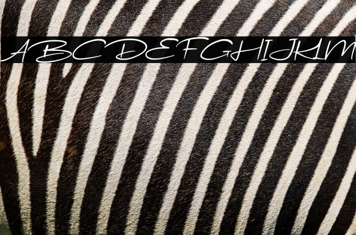 WondeurFree-Italic Example 2