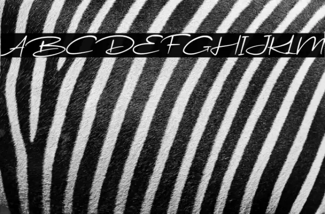 WondeurFree-Italic Font examples