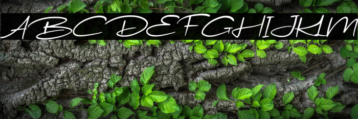 WondeurFree-Italic Example 3