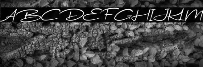 WondeurFree-Italic Font examples