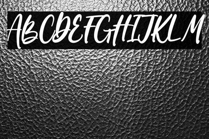 Wondiletta Example 2