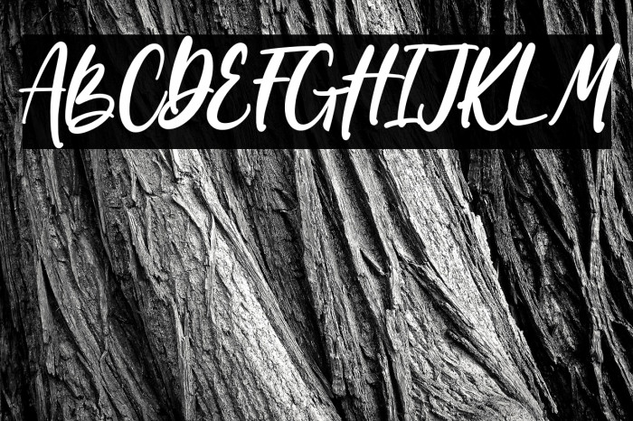 Wondiletta Example 3