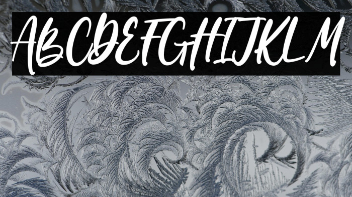 Wondiletta Example 1