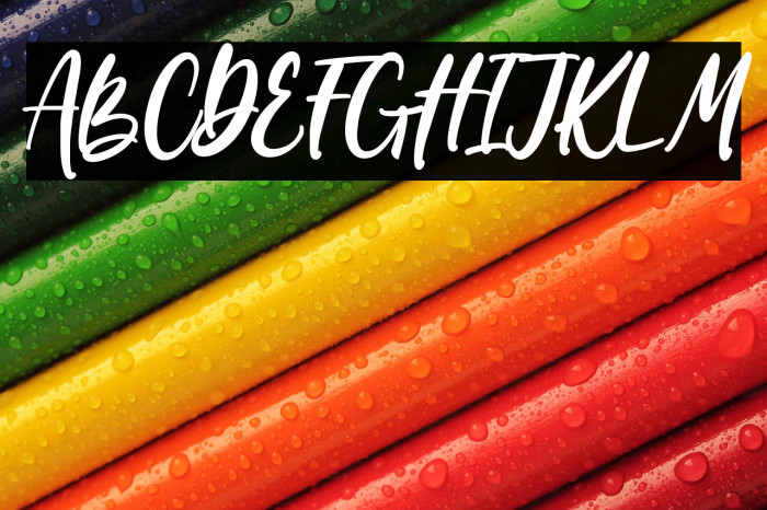 Wondiletta Example 2