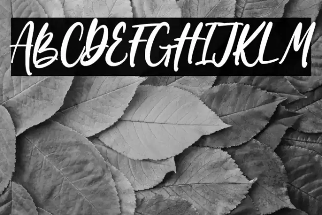 Wondiletta Font examples