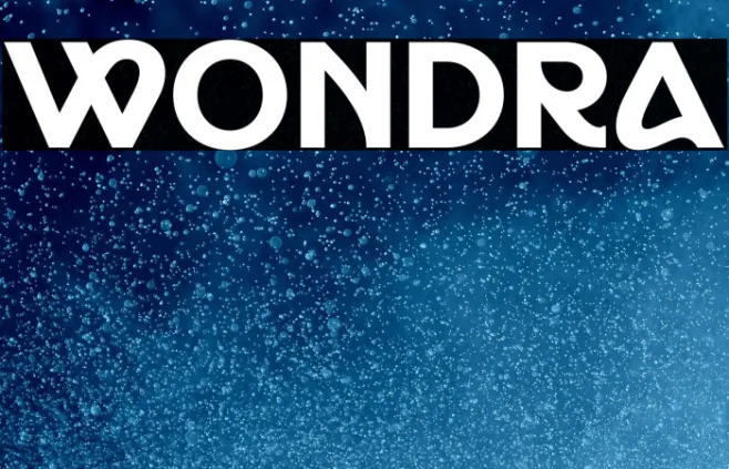 Wondra Example 2