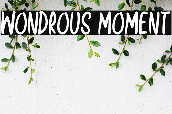 Wondrous Moment Example 2