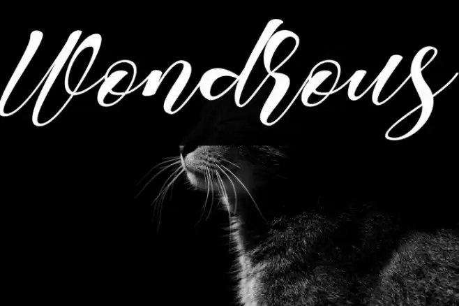 Wondrous Font examples