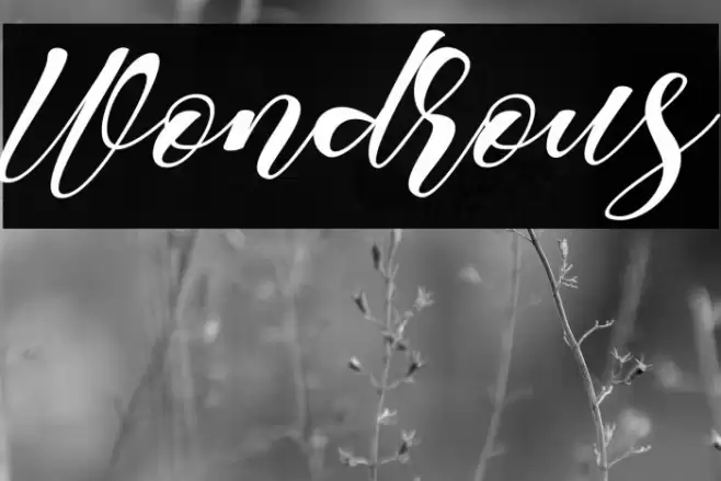 Wondrous Font examples