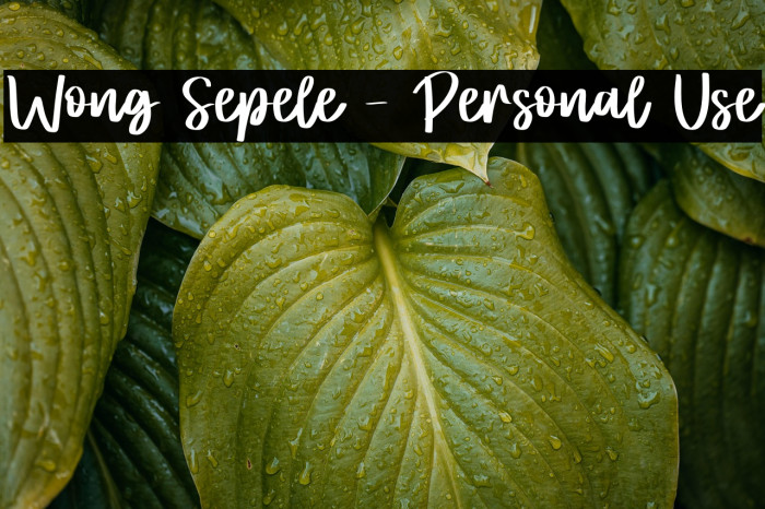 Wong Sepele - Personal Use Example 1