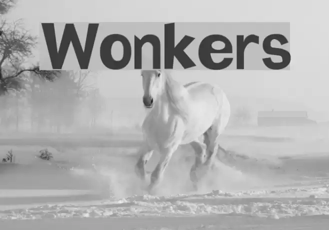 Wonkers Font examples