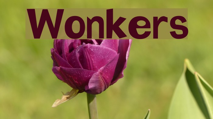Wonkers Font examples